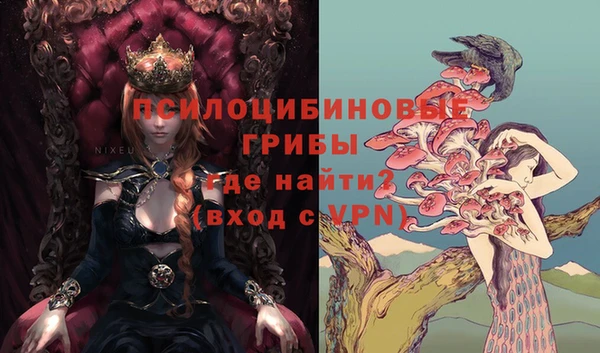 прущие крисы Абаза