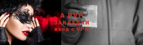 прущие крисы Абаза